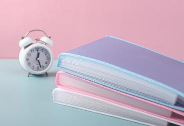Großhandel B2B Vertikale, halbtransparente Dokumententasche für das Handgepäck